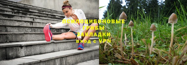 шишки Волоколамск