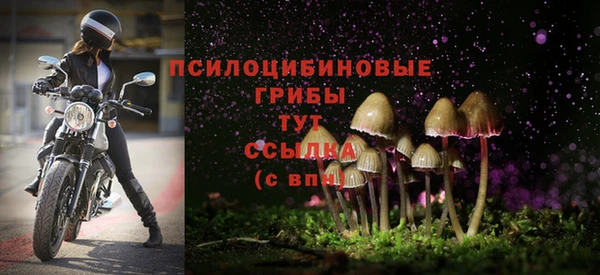 круглые Медвежьегорск