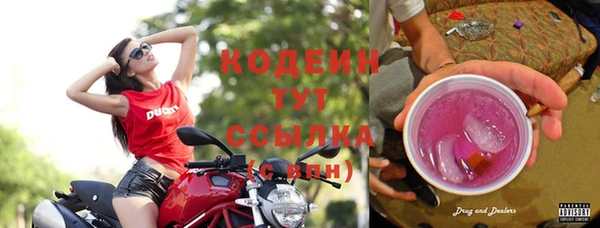 шишки Волоколамск