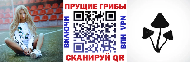Псилоцибиновые грибы Psilocybine cubensis Володарск
